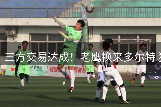 三方交易达成！老鹰换来多尔特 独行侠收获里萨谢