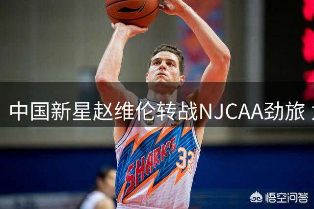 中国新星赵维伦转战NJCAA劲旅 为冲击NBA梦想蓄力