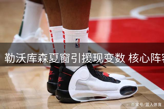 勒沃库森夏窗引援现变数 核心阵容调整引关注